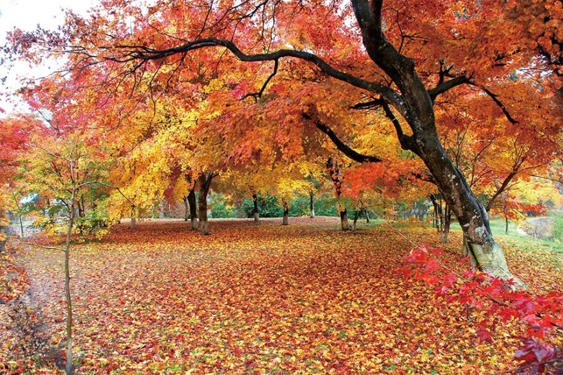 出早公園（岡谷市）