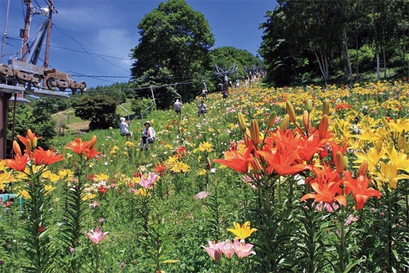 富士見高原リゾート（富士見町）